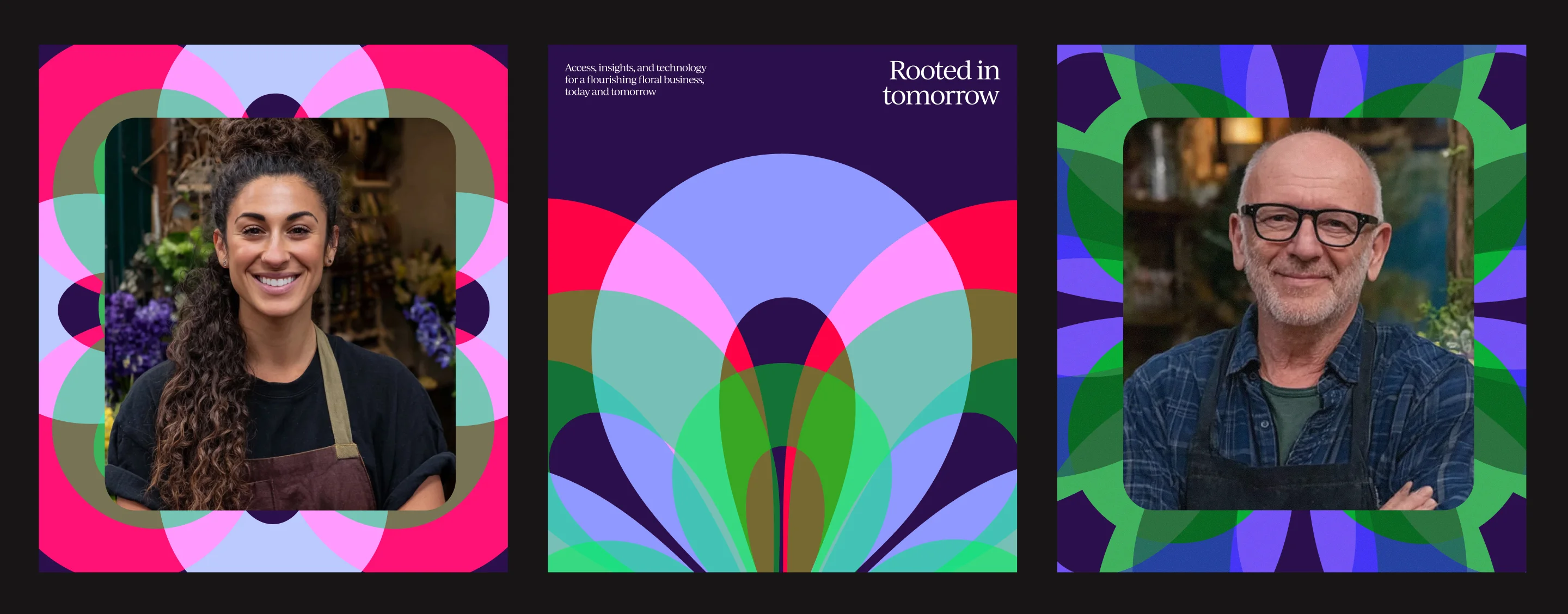 Bloomnet brand design by Goodside, image 11