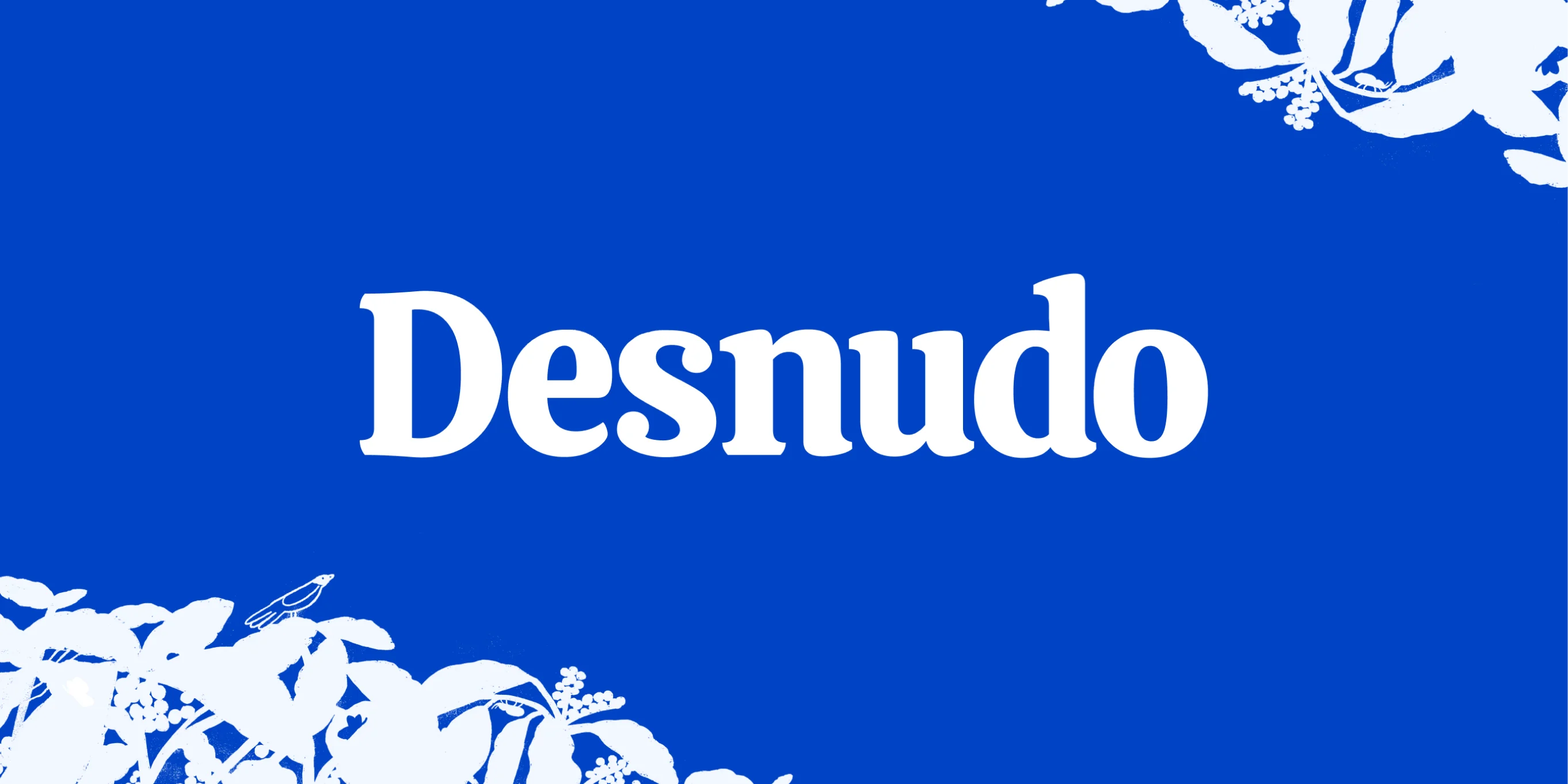 Desnudo brand design by Goodside, image 1