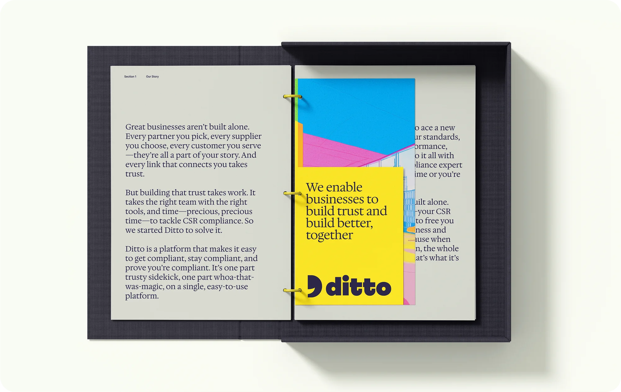Ditto brand design by Goodside, image 8