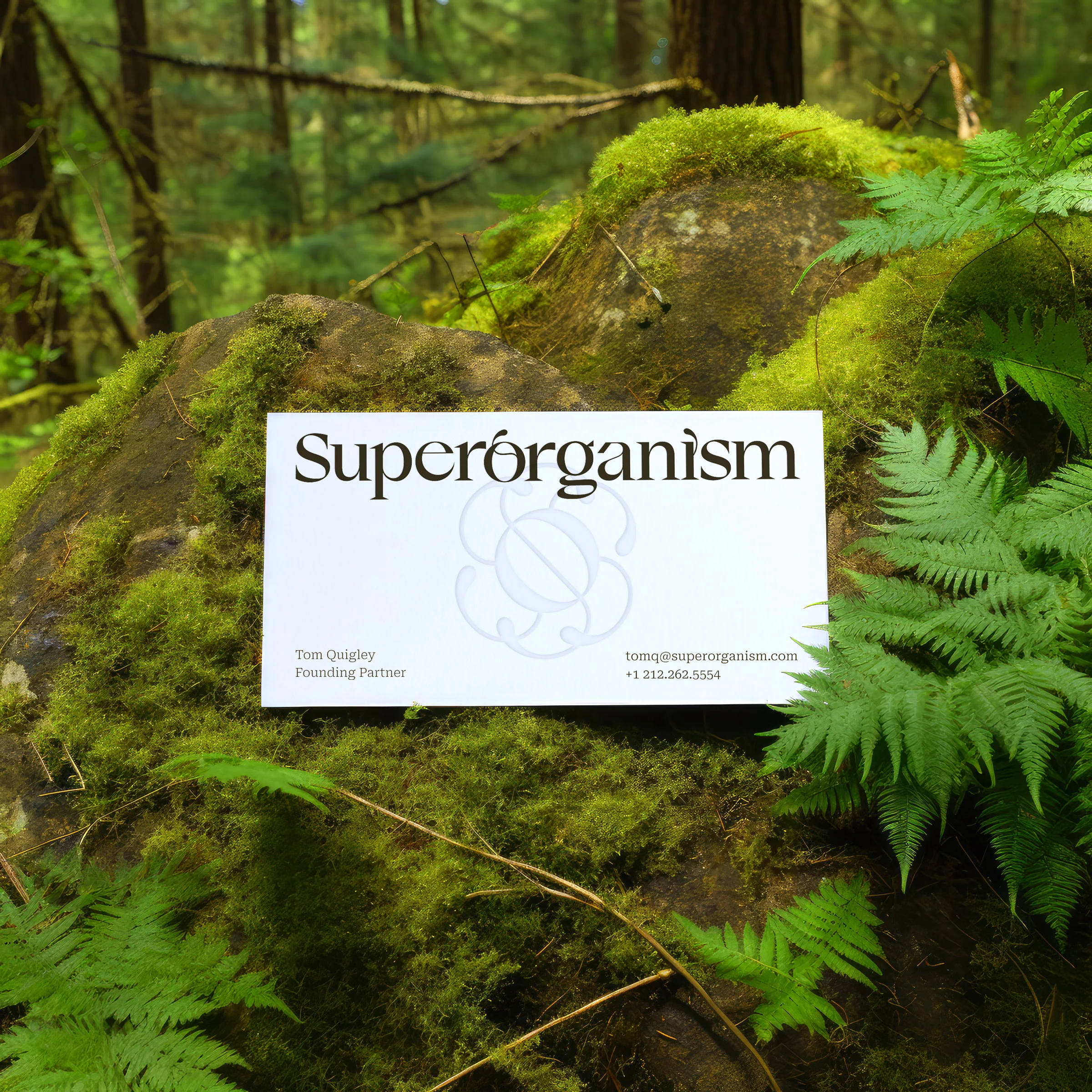 Superorganism card design by Goodside