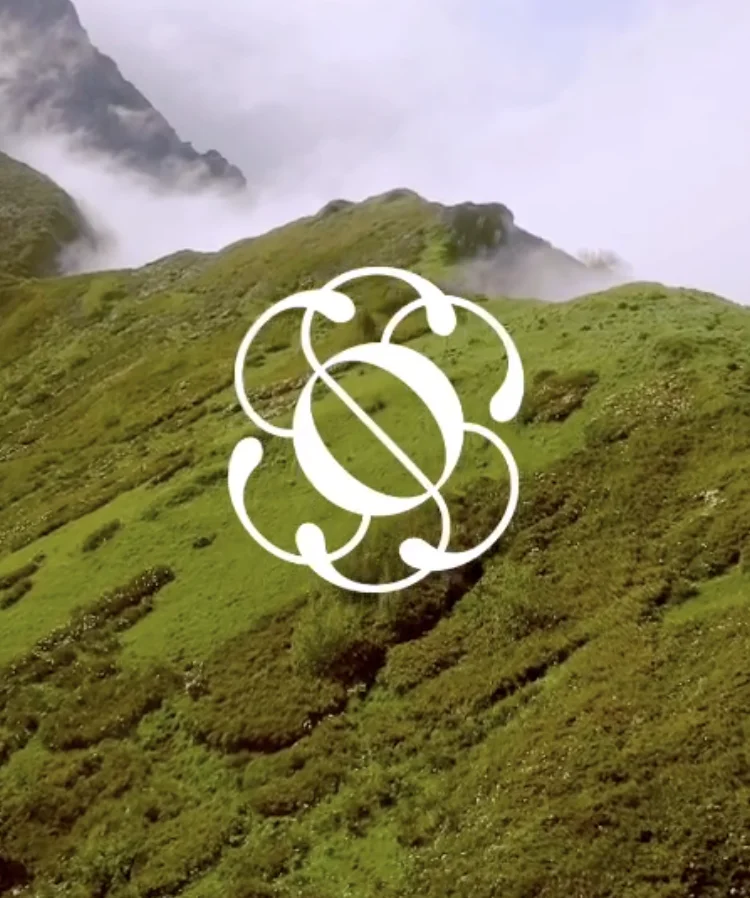 Superorganism case study