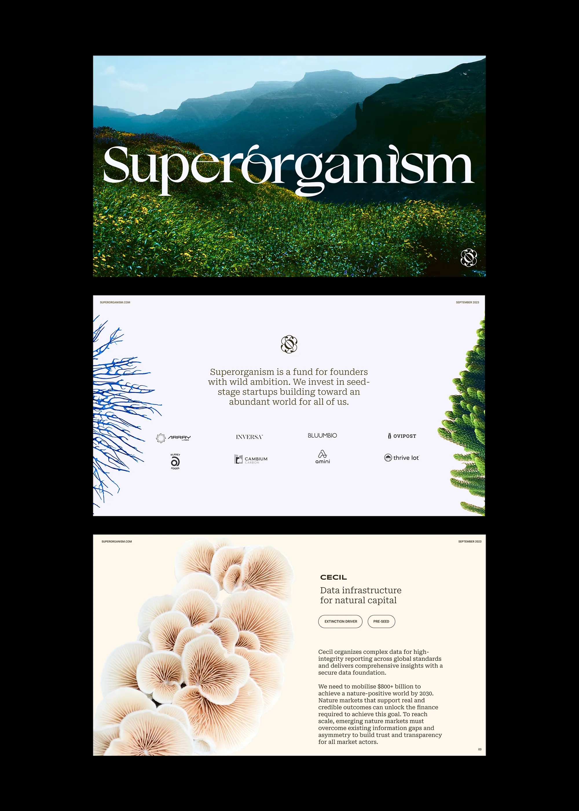 Superorganism deck design by Goodside