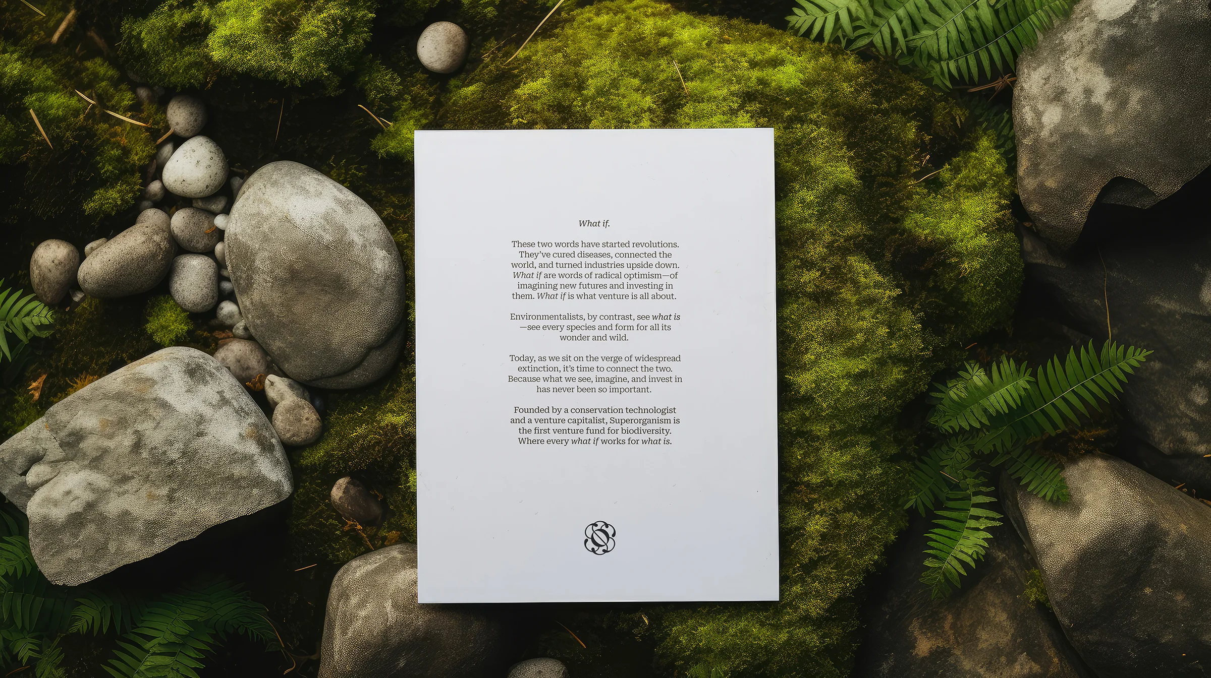 Superorganism brand design by Goodside
