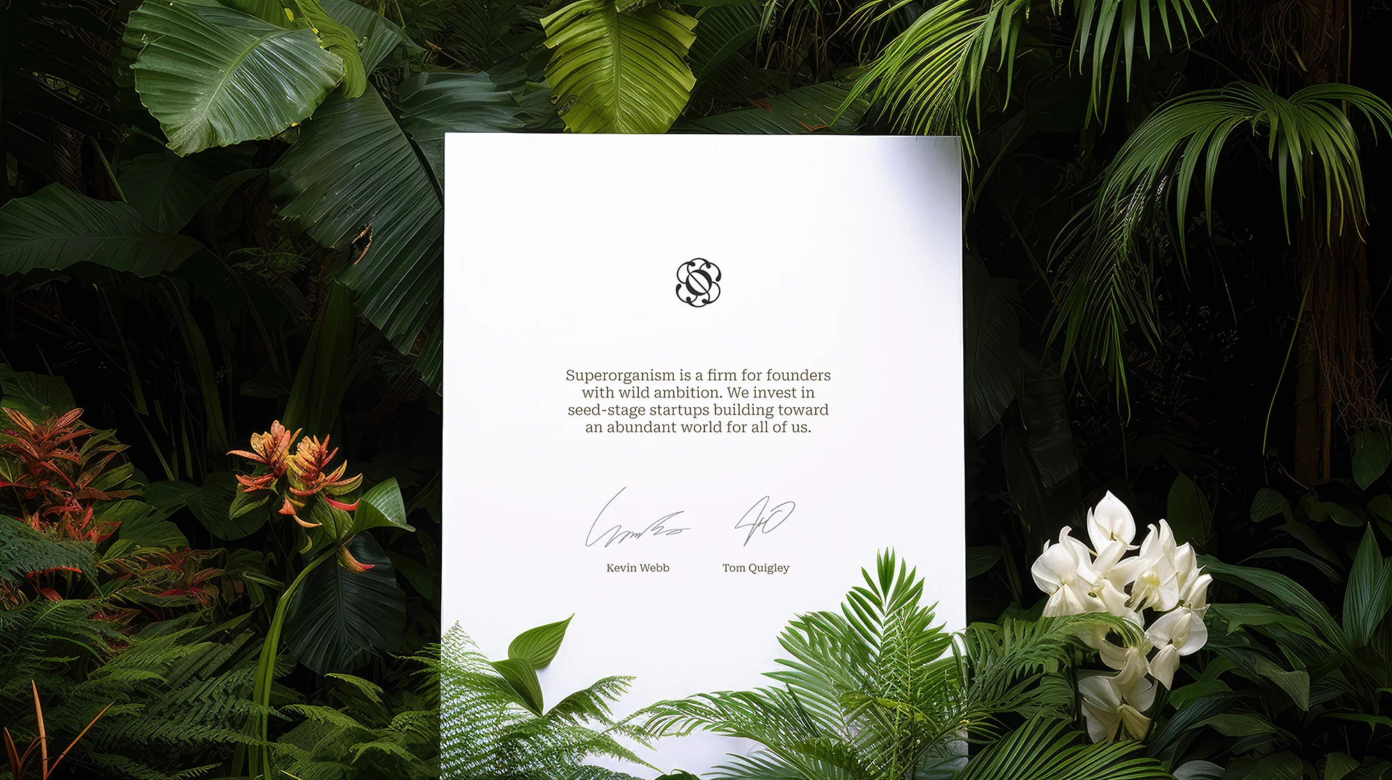 Superorganism brand design by Goodside, image 2