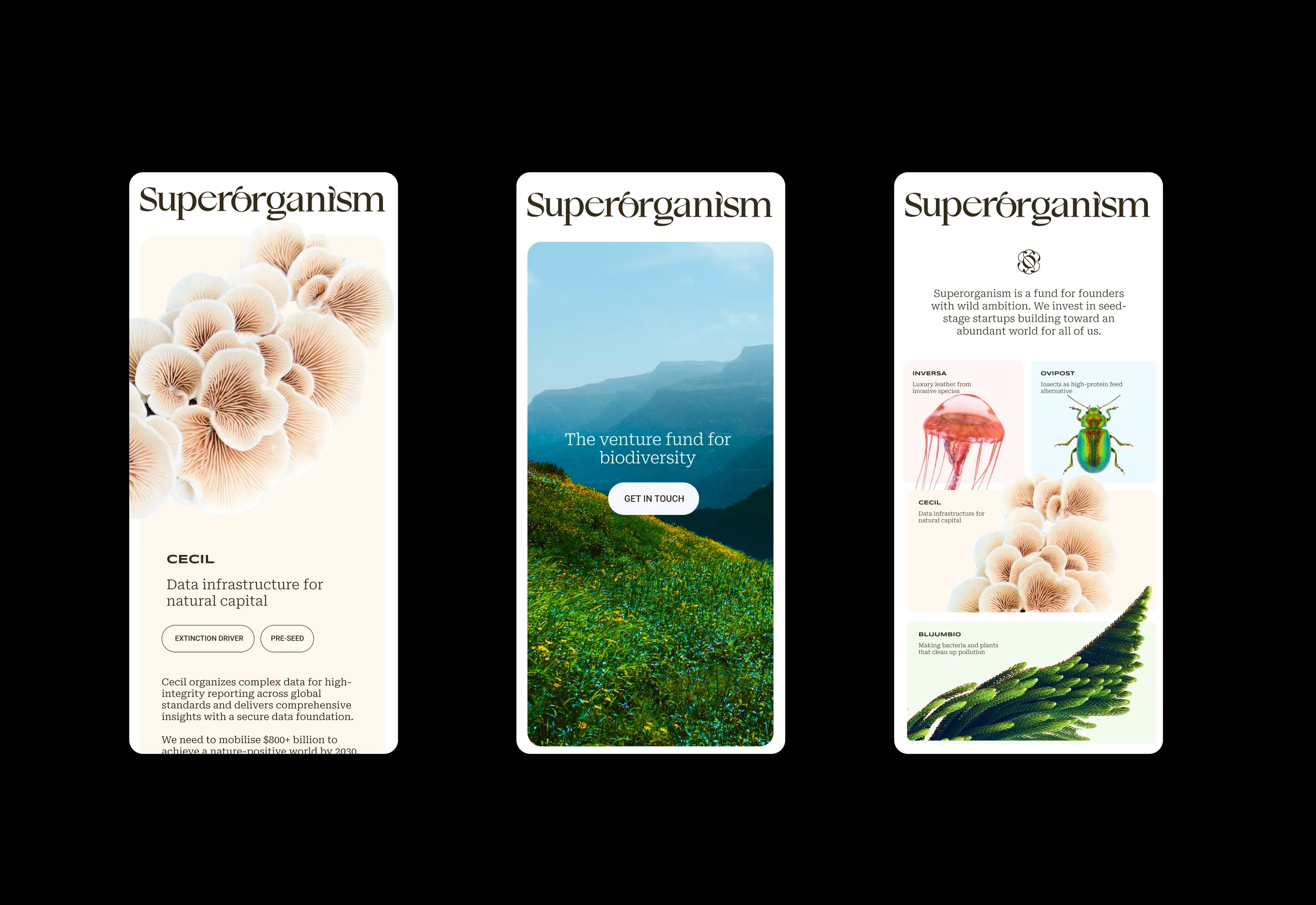 Superorganism website design by Goodside