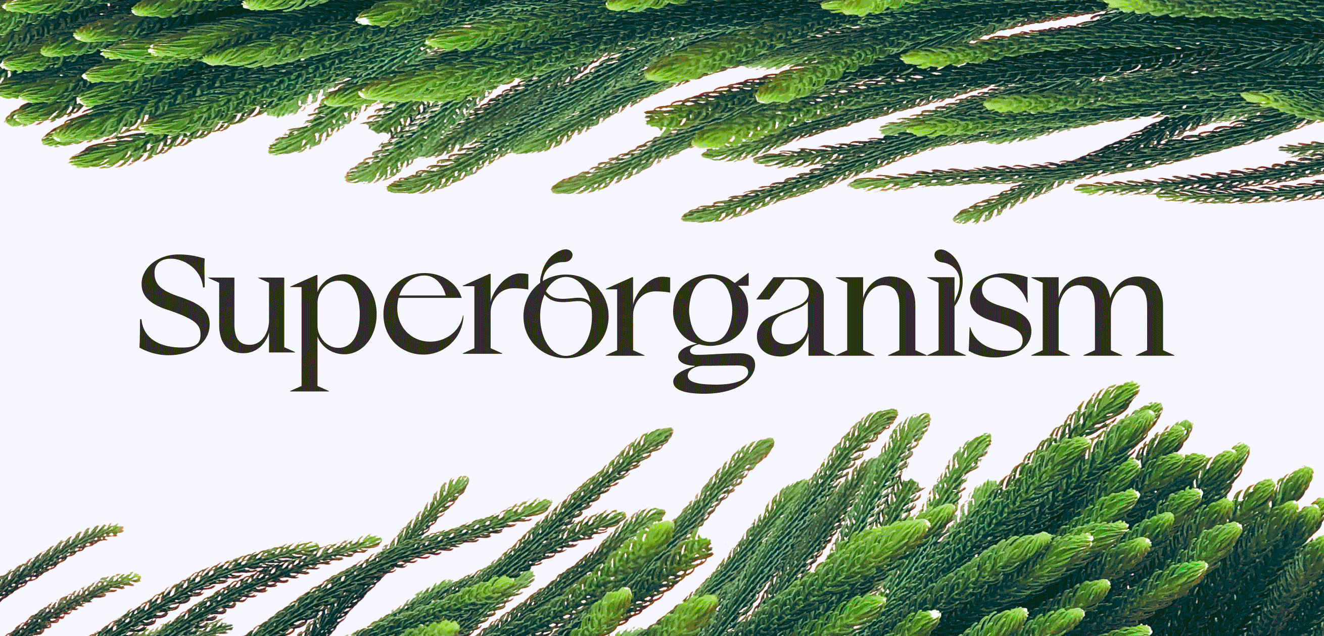 Superorganism brand design by Goodside